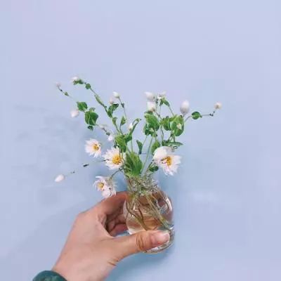 冰淇淋制作游戏下载